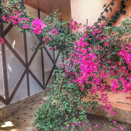 Ipek Hotel Çıralı