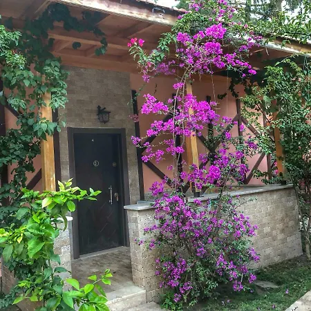 Ipek Apart 3* Cirali
