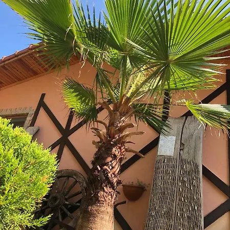 Ipek Apart Hotel Cirali