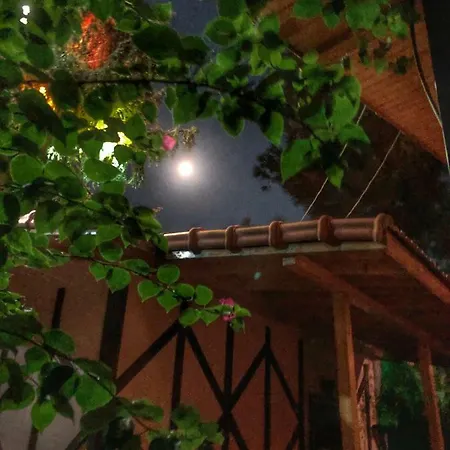 Hotel Ipek Apart Cirali
