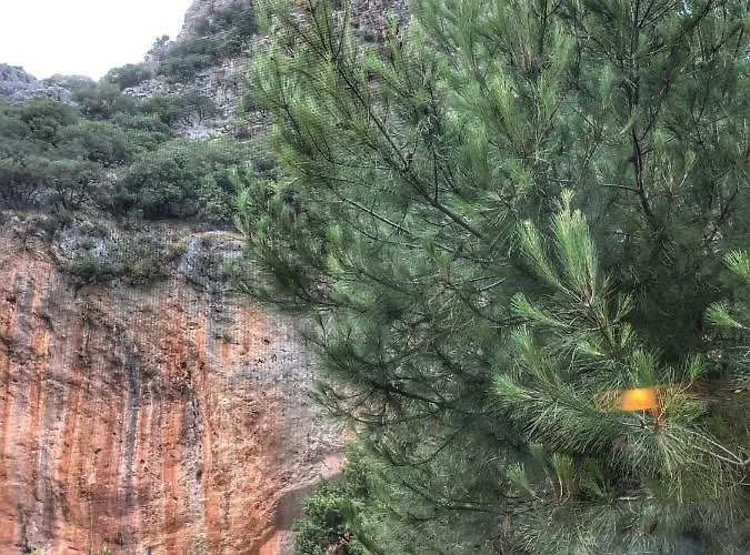 Ipek Ξενοδοχείο Çıralı