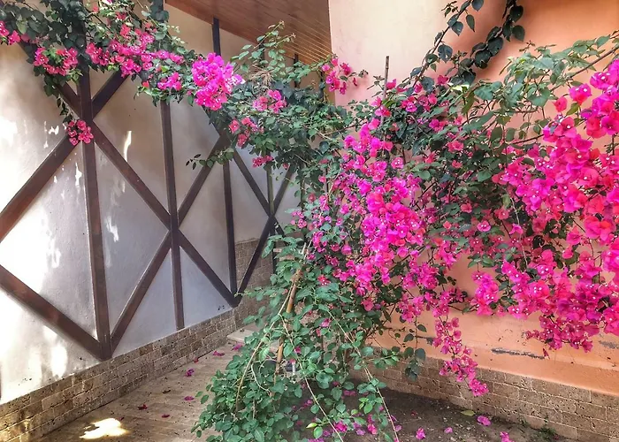 Ipek Ξενοδοχείο Çıralı