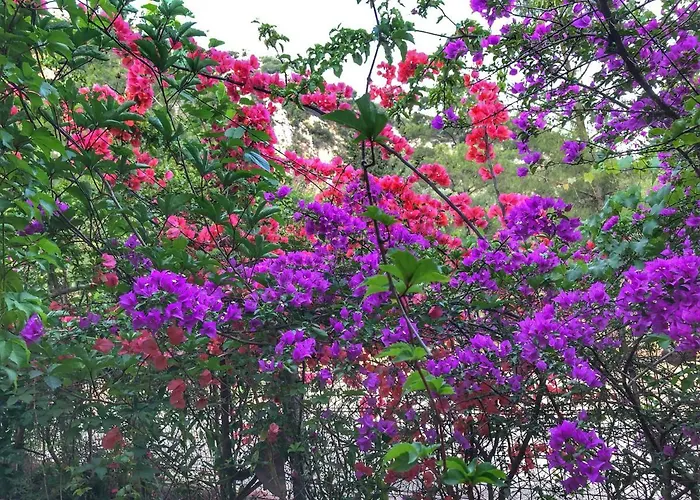 Ξενοδοχείο Ipek 3*