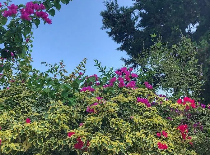 Ipek Ξενοδοχείο 3*