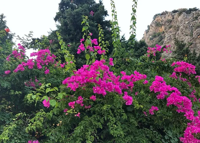 Ipek Ξενοδοχείο 3*