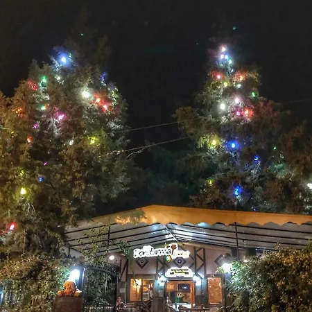 Ipek