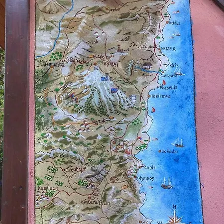 Ipek Cirali