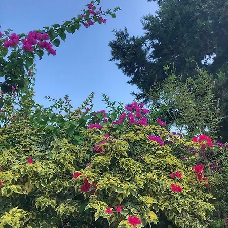 Ipek Ξενοδοχείο 3*