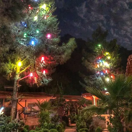 Ipek Çıralı